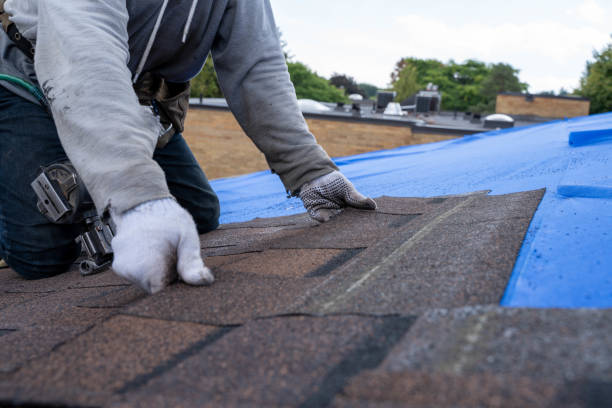 Best Storm Damage Roof Repair  in Bruceton, TN